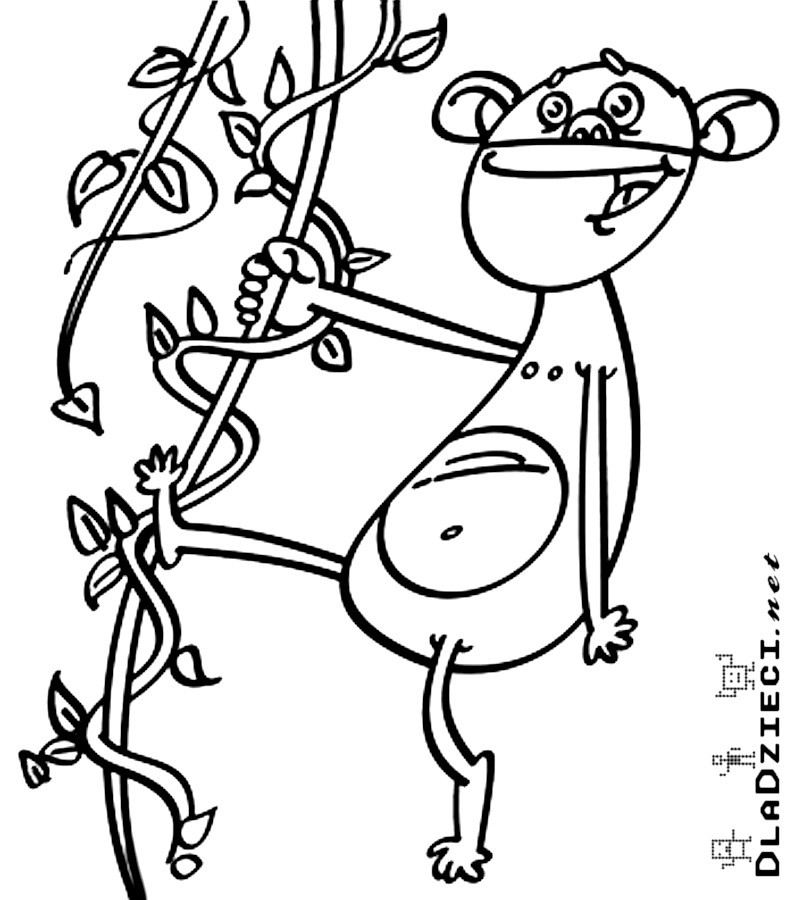 małpa na lianie